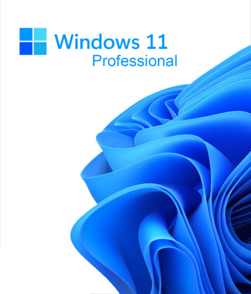 Microsoft Windows 11 Pro Key | Activation Licence